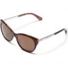 Brighton Pebble Rings Sunglasses -Brighton Sales Store 51AN3t0YndL. AC SR736920