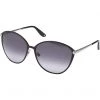 Brighton Ferrara Gatta Sunglasses