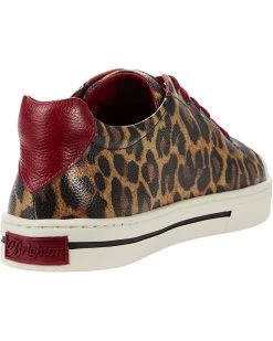 Brighton Sneakers & Athletic Shoes Spots Sneaker -Brighton Sales Store 71UyQZFimRL. AC SR736920